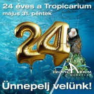 Tropicarium Születésnap Budapest 2024. Ünnepeljük együtt a 24 éves Tropicariumot