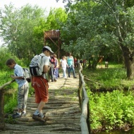 Egynapos osztálykirándulás a Tisza-tónál, osztálykirándulás ajánlatok a Szabics kikötővel