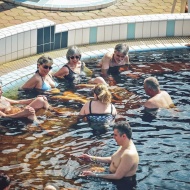 Gyógyfürdő hétvége Gyopárosfürdőn, szállással a Hotel Corvus Aqua-ban Gyógyfürdő hétvége Gyopárosfürdőn, szállással a Hotel Corvus Aqua-ban