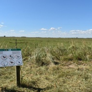 Réce tanösvény Apaj, ökotúra a Felső Kiskunsági pusztán, a Kiskunsági Nemzeti Park területén Réce tanösvény Apaj, ökotúra a Felső Kiskunsági pusztán, a Kiskunsági Nemzeti Park területén