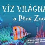 Víz Világnapja Pécsi Állatkert 2021 Víz Világnapja Pécsi Állatkert 2021