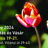 Dísznövény Szakkiállítás és Vásár 2024 Budapest. Tavaszkert növényvásár és kertészeti programok