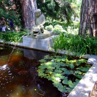 Pintér-kert Arborétum