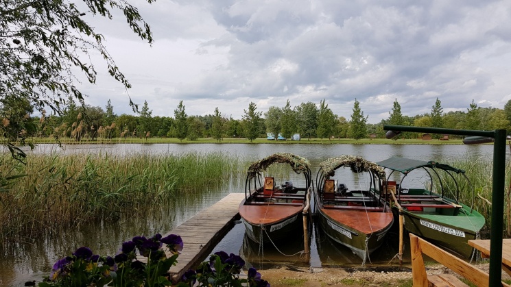 Osztálykirándulás a Tisza-tóhoz, fedezzék fel kishajókkal a tó csodálatos természeti szé pségeit