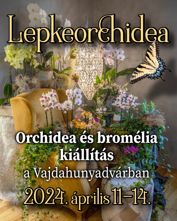 Orchidea és Bromélia Kiállítás 2024 Budapest