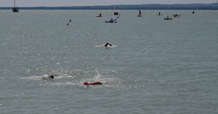 Öbölátúszás 2026 Tihany - Balatonfüred