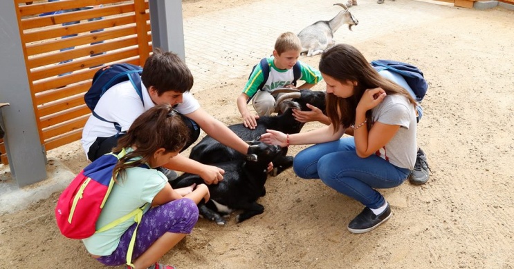 Ovis programok a Pécsi Állatkertben, interaktív ismerkedés az állatokkal óvodás csoportoknak