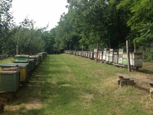 Dunántúli Regionális Méhésztalálkozó Kaposvár
