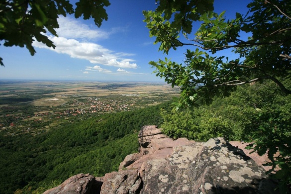 Csongrád megyei Természetbarát Szövetség túrák 2024