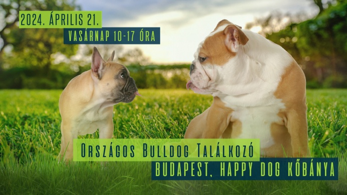 Bulldog Találkozó 2024. Tavaszi Országos Bulldog Találkozó