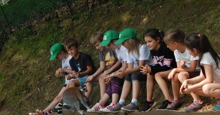 Zoo tábor Pécs. Nyári napközis tábor a Pécsi Állatkertben állatos programokkal