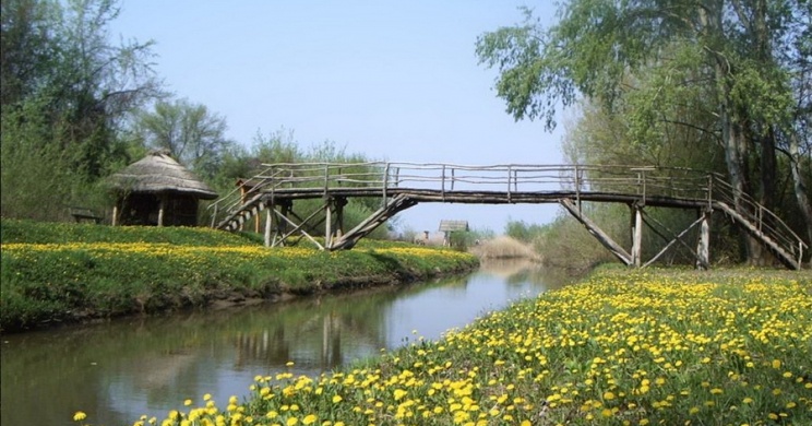 Ébredő természet túra áprilisban, virág túra a Tisza-tónál a Szabics kikötő szervezésében