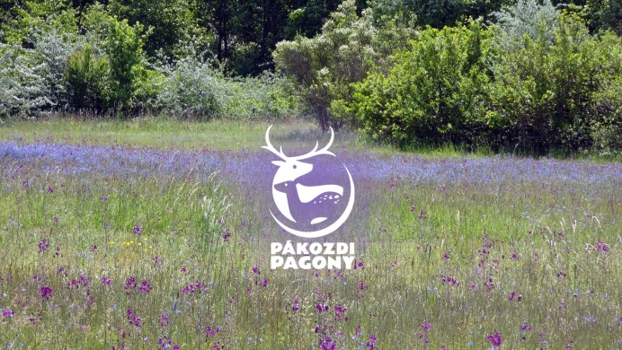 Pákozdi Pagony - Vadaspark és Arborétum