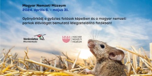 Varázslatos Magyarország természetfotó kiállítás Budapesten a Magyar Nemzeti Múzeumban