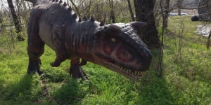 Dino Park Gyulán, szabadtéri dinoszaurusz kiálllítás és élménypark őskori dinoszauruszokkal