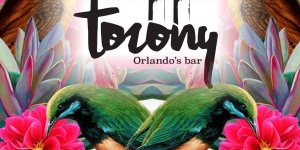 Torony. Orlando`s Bar Győr