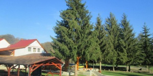 Égervölgye Nemzetközi Ifjusági Tábor és Központ Varbóc