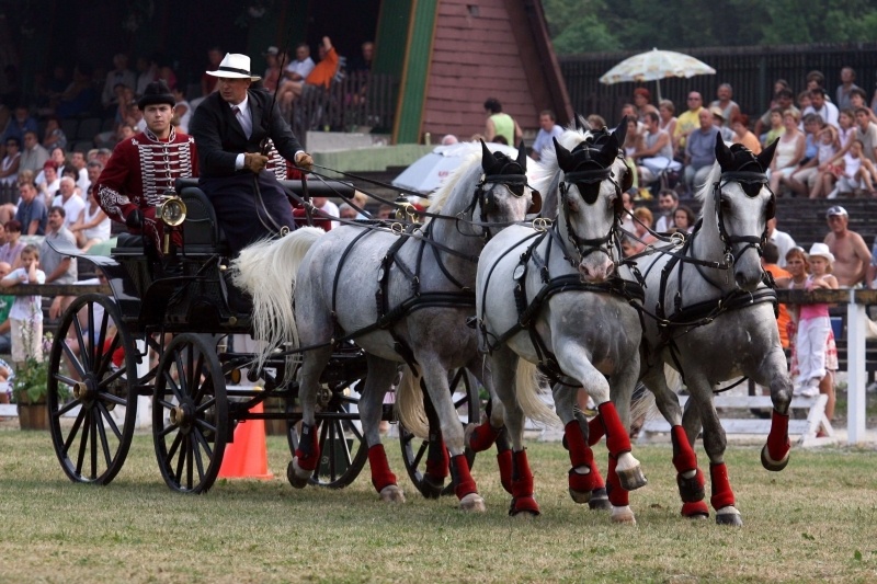 Szilvásváradi lovasnapok 2019