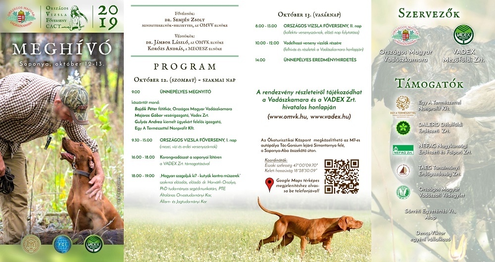 Vizsla verseny 2019