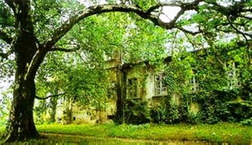 Geszt Programturizmus