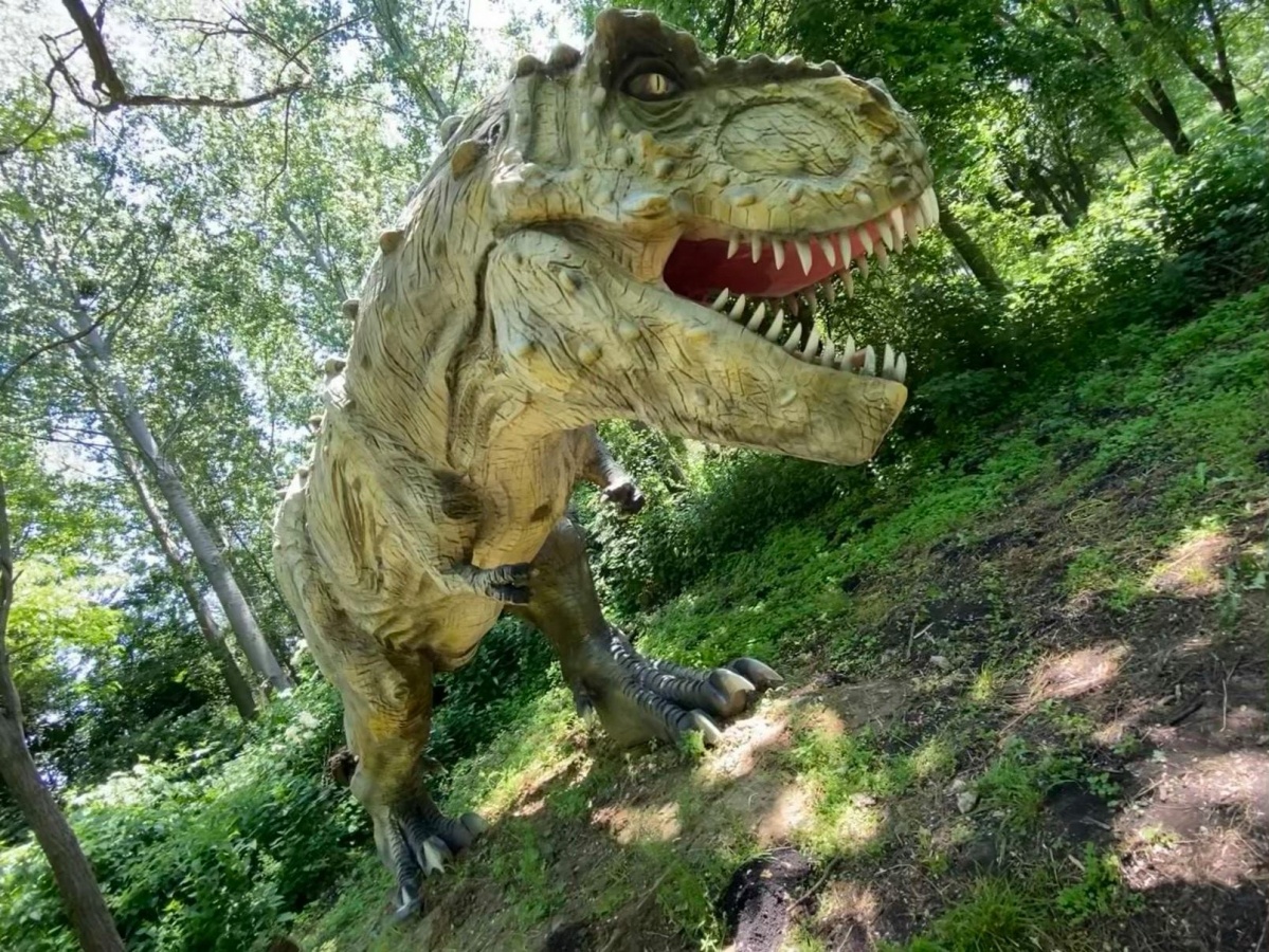 Cinemaqua Film Es Naturpark Kisvarda Programturizmus