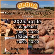 Ősmaradvány élménytúra 2025. Gyűjts több millió éves ősmaradványokat egy igazi működő bányában