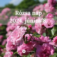 Rózsa nap Dörgicse 2023