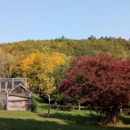 Diósjenői Szabadidőpark nyári táborok 2019 Diósjenői Szabadidőpark nyári táborok 2019