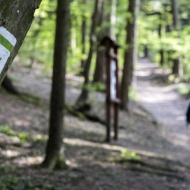 Ciklámen Erdei Tanösvény, ökotúra a Soproni Tájvédelmi Körzetben