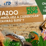 Állatkerti kirándulás 2022. „Medveles” a hargitai medvepásztorral Állatkerti kirándulás 2022. „Medveles” a hargitai medvepásztorral