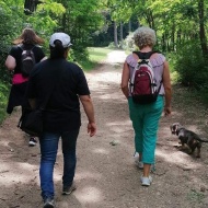 Gödöllői élményprogram, városi kincskereső séta és kalandos kikapcsolódás minden korosztálynak