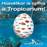 Húsvét a Tropicariumban 2025. Ünnepi hétvége a cápás állatkertben