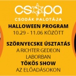 Őszi szüneti gyerekprogramok 2021. Tökös CSOPÁS élmények a Csodák Palotájában Őszi szüneti gyerekprogramok 2021. Tökös CSOPÁS élmények a Csodák Palotájában