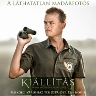 Madárfotó kiállítás 2019. Máté Bence, a világhírű láthatatlan madárfotós lenyűgöző képei Madárfotó kiállítás 2019. Máté Bence, a világhírű láthatatlan madárfotós lenyűgöző képei