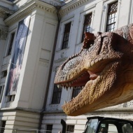 Dinoszaurusz kiállítás Szeged 2018 Dinoszaurusz kiállítás Szeged 2018