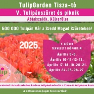 Tulipánszüret Tisza-tó 2025 Abádszalók