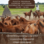 Puszta program 2023. Csikósbemutató lovaskocsikázással Bugacpusztán a Karikás Csárdánál Puszta program 2023. Csikósbemutató lovaskocsikázással Bugacpusztán a Karikás Csárdánál