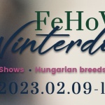 Dog Show 2021 Budapest. FCI Európa Nemzetközi Kutyakiállítás Dog Show 2021 Budapest. FCI Európa Nemzetközi Kutyakiállítás