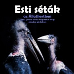 Esti séta az Állatkertben 2022 Debrecen Esti séta az Állatkertben 2022 Debrecen
