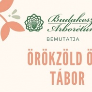 Budakeszi nyári tábor 2019. Vár a Budakeszi Arborétum Örökzöld öko tábora Budakeszi nyári tábor 2019. Vár a Budakeszi Arborétum Örökzöld öko tábora