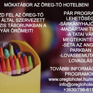 Tata tábor 2020. Nyári napközis mókatábor az Öreg-tó Hotelben Tata tábor 2020. Nyári napközis mókatábor az Öreg-tó Hotelben
