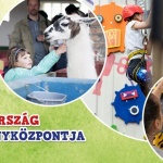 Falusi nyaralás állatok között, izgalmas programok és barátságos állatok a Katica Tanyán Falusi nyaralás állatok között, izgalmas programok és barátságos állatok a Katica Tanyán