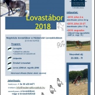 Szigetközi lovaglás! Napközis lovastábor a Hédervári Lovasklubban Szigetközi lovaglás! Napközis lovastábor a Hédervári Lovasklubban