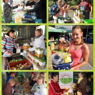 Biovásár Miskolc 2019 Biovásár Miskolc 2019