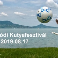 Kutyafesztivál Budapest 2018. Dogmopolitan Jótékonysági Kutyafesztivál Kutyafesztivál Budapest 2018. Dogmopolitan Jótékonysági Kutyafesztivál