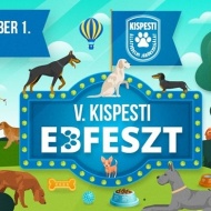 Kispesti EbFest 2019 Kispesti EbFest 2019
