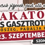 Bakator Bor- és Gasztrofesztivál 2022 Bihardiószeg (Erdély) Bakator Bor- és Gasztrofesztivál 2022 Bihardiószeg (Erdély)