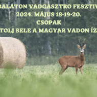 Balaton Vadgasztro Fesztivál 2024 Csopak
