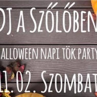 Blues est Paloznak 2019. DJ a Szőlőben Blues est Paloznak 2019. DJ a Szőlőben