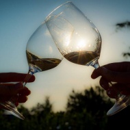 ChardonnÉJ 2018 ChardonnÉJ 2018